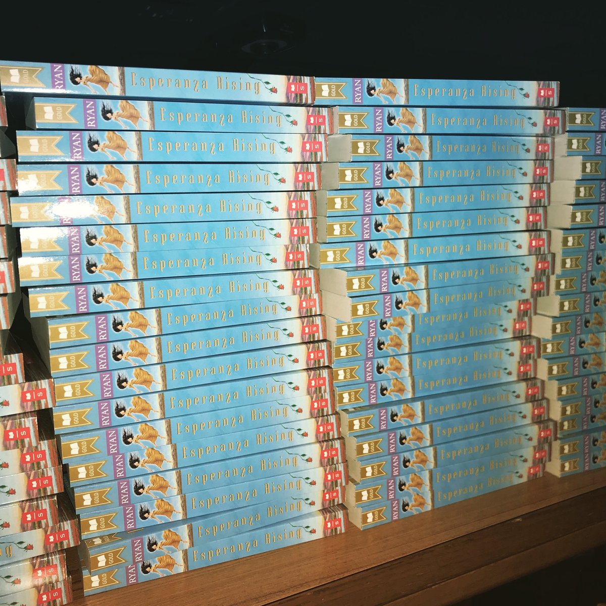 wga3rd's tweet photo. Thank you to @chandlerdiversityoffice and @cityofchandler for the amazing grant that allowed us to put over 200 books with diverse stories into the hands of our students.   #wga3rd #growwga https://t.co/r2wtGRlKuD