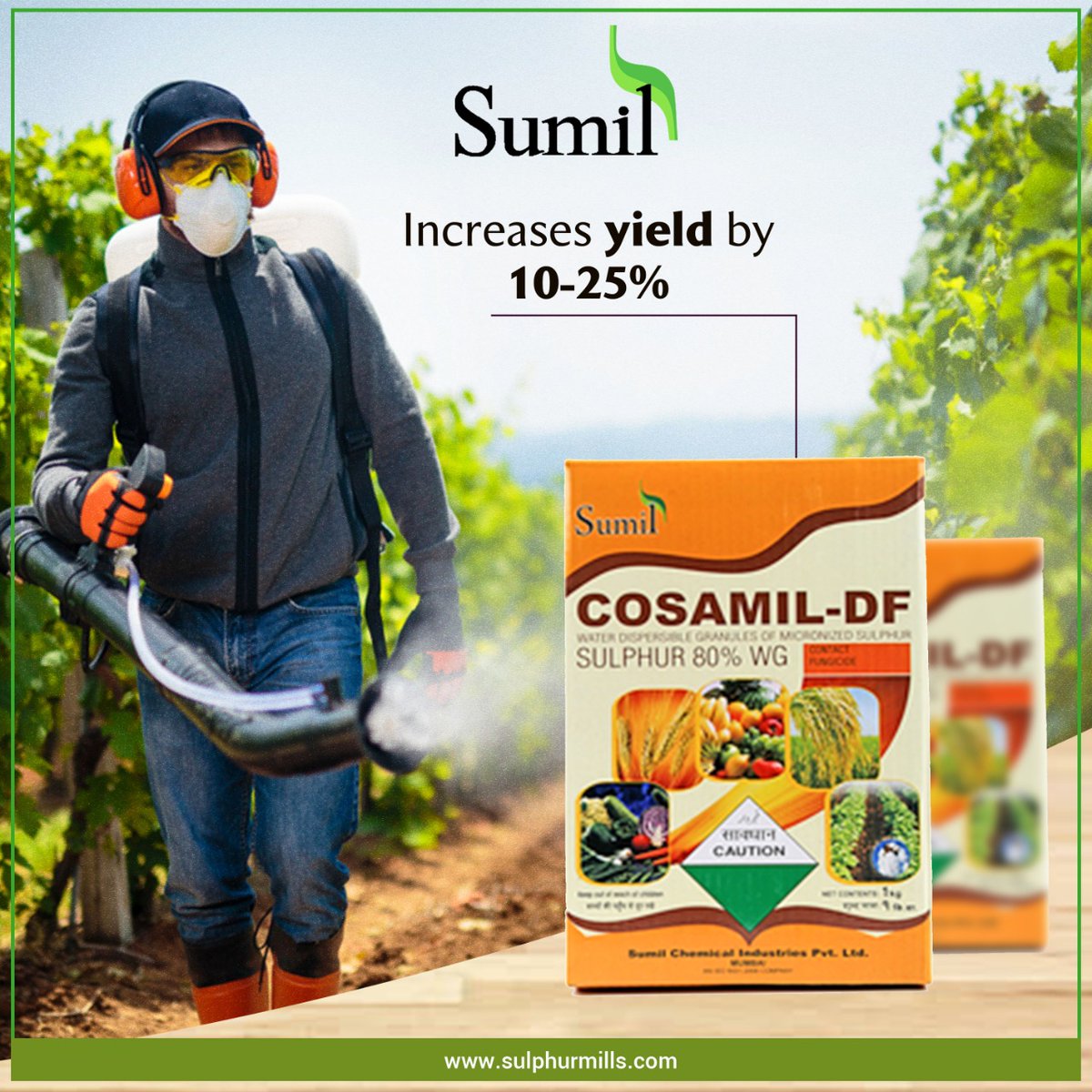 SumilLtd's tweet photo. Sumil Chemical Industries Pvt Ltd leading product Cosamil Gold helps in increasing the yield by 10-25%. It is a boon to the farmers. Contact us to know more.

#sulphurmills #agrochemicals #fertis #technoz #zinda #cosavetgold #bulton #probor #tracon #reap #sumil #fungicide https://t.co/AAF98UMpou