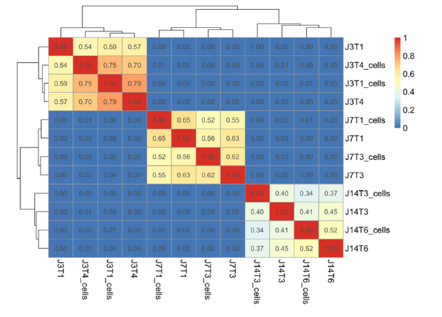 JNeurooncol's tweet photo. #WES of #GBM suggest intratumoral genetic heterogeneity relates to radiosensitivity - impacting not only the initial therapeutic response but effectiveness of retreatment protocols.@McAbeeNeuro @ProfCWatts @NIHBrainTumor @wakeforestmed #RadOnc https://t.co/4gFbS4rwR2 https://t.co/Jk0uqplBGW