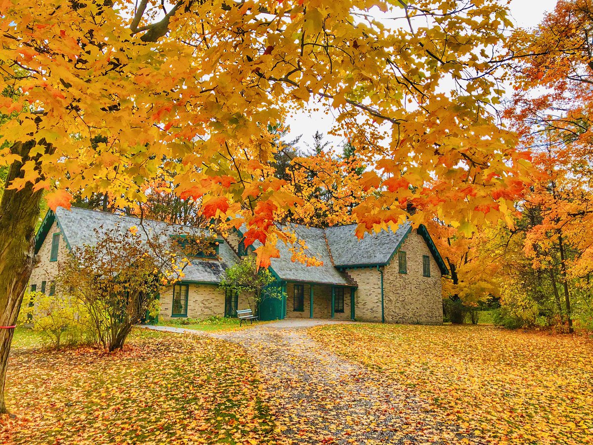 Waterlooism's tweet image. Get out and enjoy the splendour in Waterloo this weekend...it won’t last long!