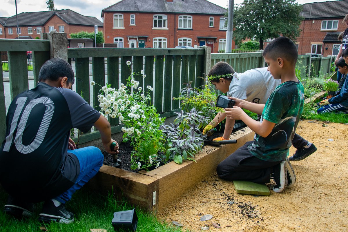 SowtheCity's tweet photo. Exciting to hear that @NSCPG community garden have been awarded @GreenFlagAward for transformation of the space and involvement of volunteers. One of more than 2000 sites awarded this year! @BuryTimes @BuryRochCO_NHS @BuryCouncil https://t.co/sC04PH7RwO