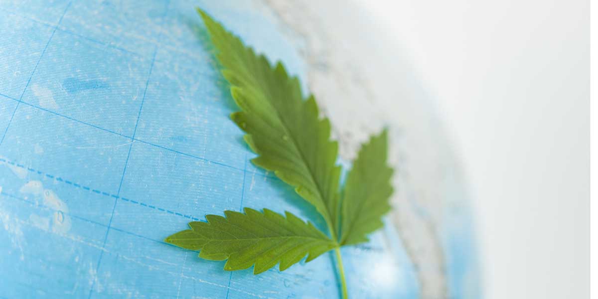 altproexpo's tweet image. After decades of bans and restrictions to a once staple crop, the world is now recognizing #hemp once again as an alternative for #organic #production. 👇bit.ly/2FTYRZZ