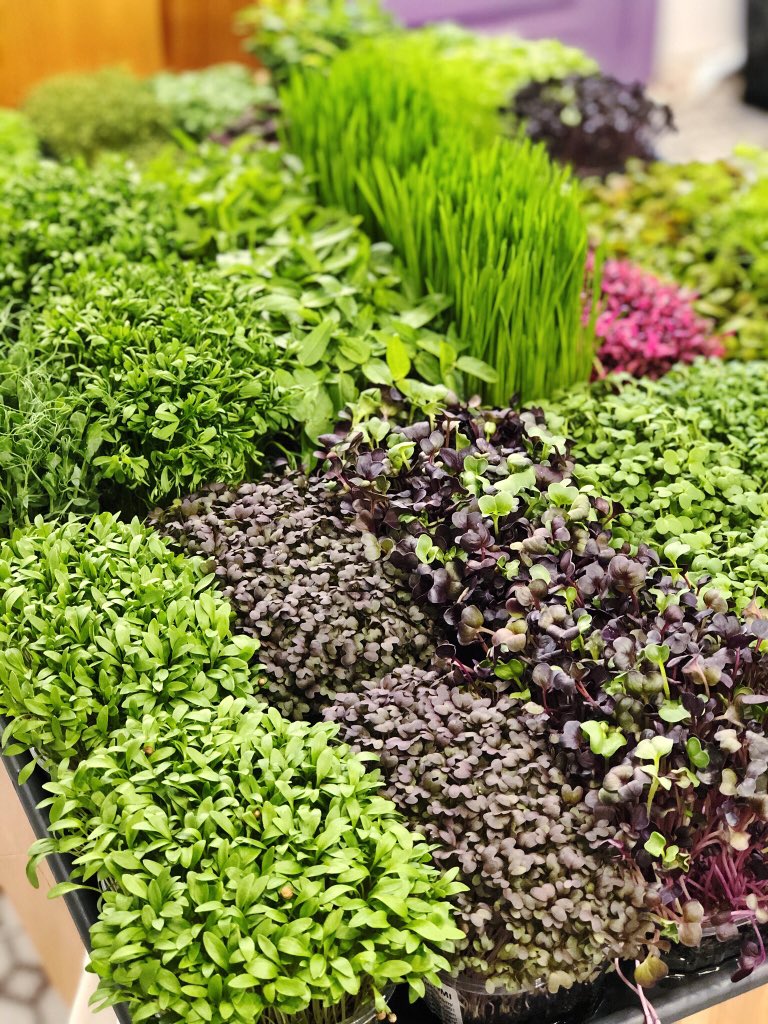 UNCE Tirgotava tweet media