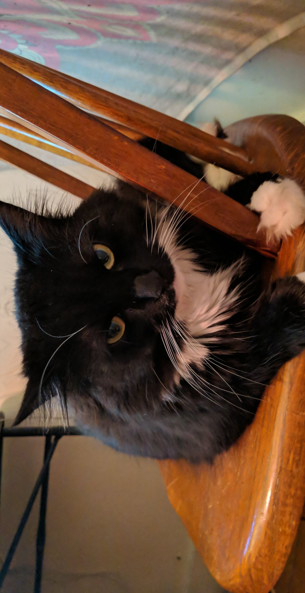 Max is a #mood https://t.co/3f9UhTNpiL