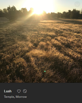 This week's example: this is not Austro-Brit crusty emos Morrow. This is rap.