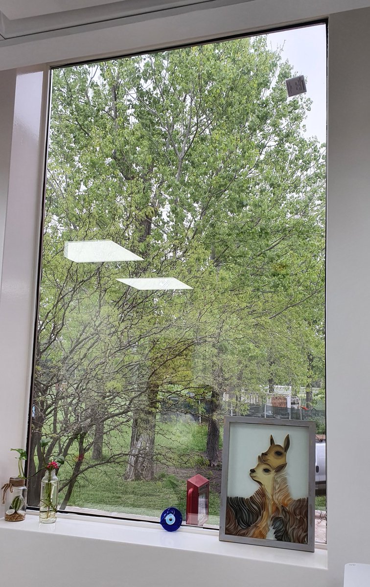 maximobontempo's tweet photo. Fíjate si nuestros investigadores ❤ lo que hacen, que en la ventana de la oficina de @vivipar2017 -uno de los cerebros detrás de la neutralización del Covid por nanoanticuerpos de llama- está este cuadro que le hizo si hermana, sabiendo lo que significa para ella. #INTAEstá https://t.co/3A779iM2a3