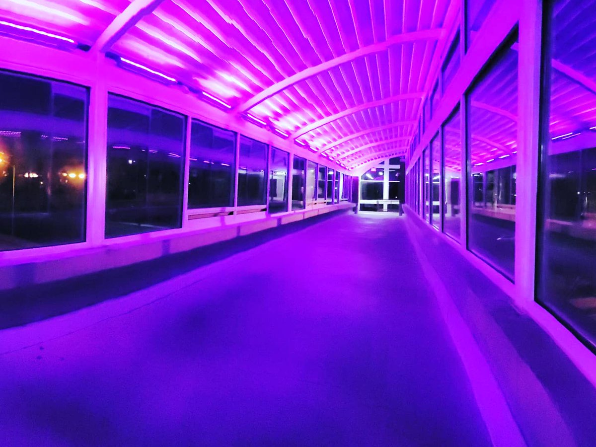 EKUGreenDot's tweet photo. Thank you to everyone who wore purple to show their support for survivors of domestic violence! We ended the night by checking out the EKU pedway that was lit purple for Purple Thursday! #purplethursday #eku #greendot https://t.co/EgZ7P6Xz33
