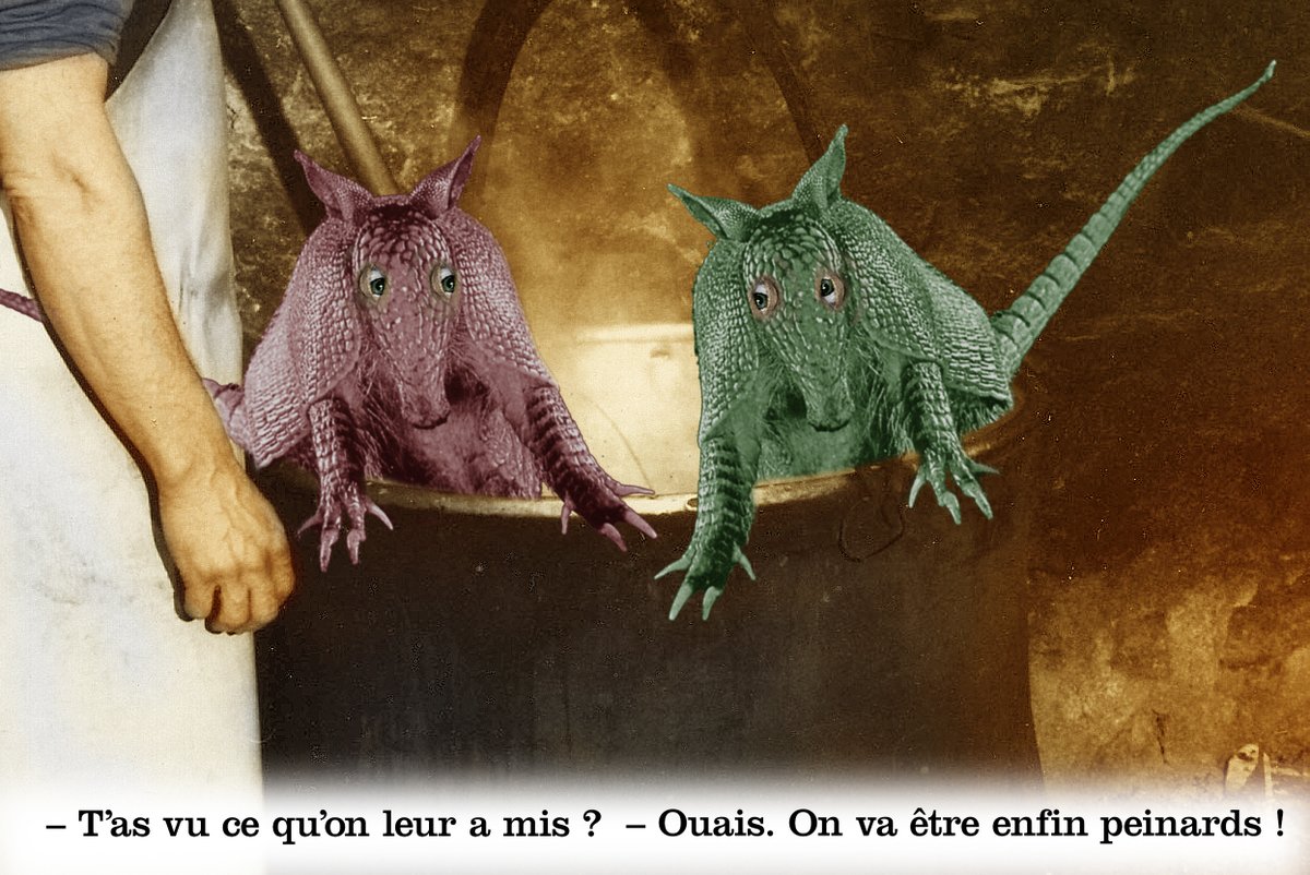 Plonk&Replonk tweet media