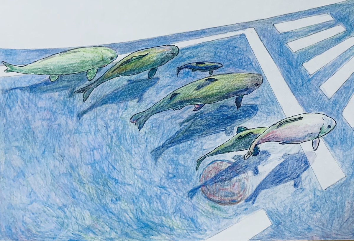 シャノン そういえば3年以上前に適当に色鉛筆で描いたこの絵のタイトルが 魚類による考古学 でこれがそもそもの元ネタだったことを思い出しました 写真残っててよかった シャノン そういえば3年以上前に適当に色鉛筆で描いたこの絵のタイトルが 魚類による考古学 でこれがそもそもの元ネタだったことを思い出しました 写真残っててよかった