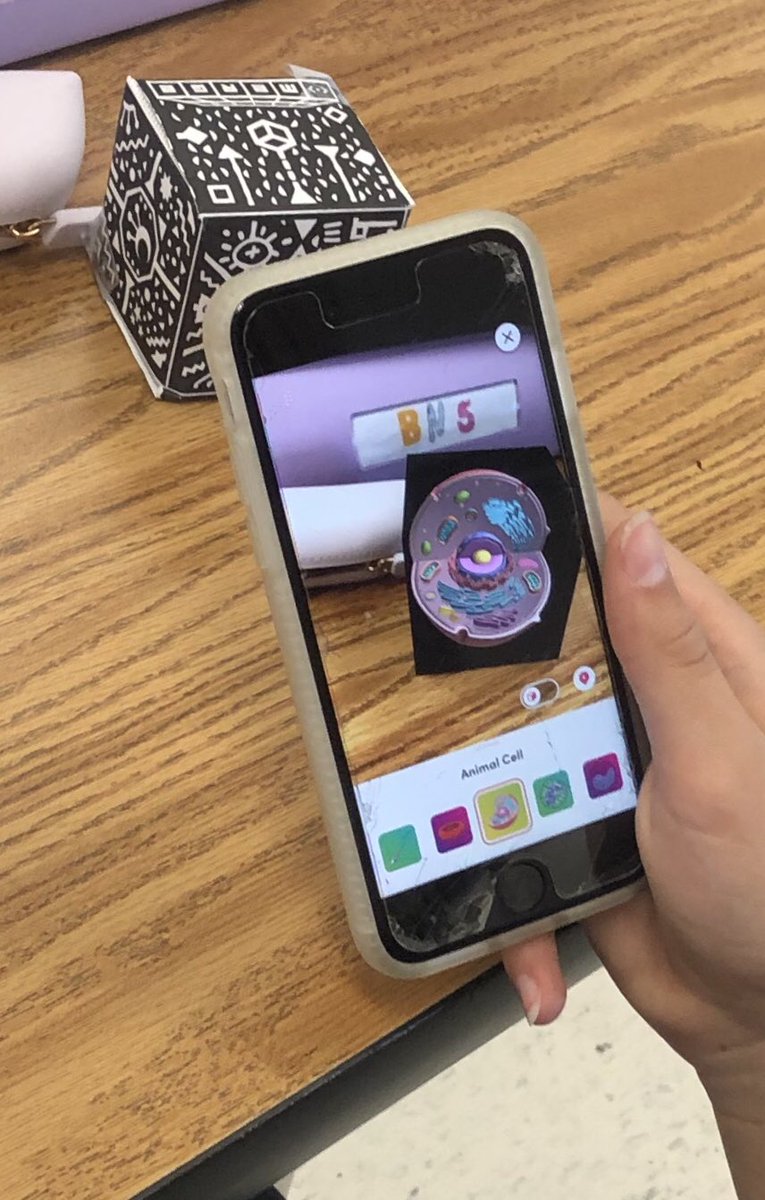 RockatWest's tweet photo. Getting curious with plant and animal cells as we discover them from a different perspective. #letsgetcurious  #lookinginside @ShelbyWMS https://t.co/AF7B20InSE