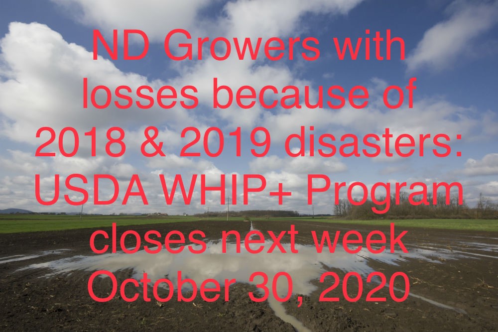 North Dakota Corn Growers Association tweet media