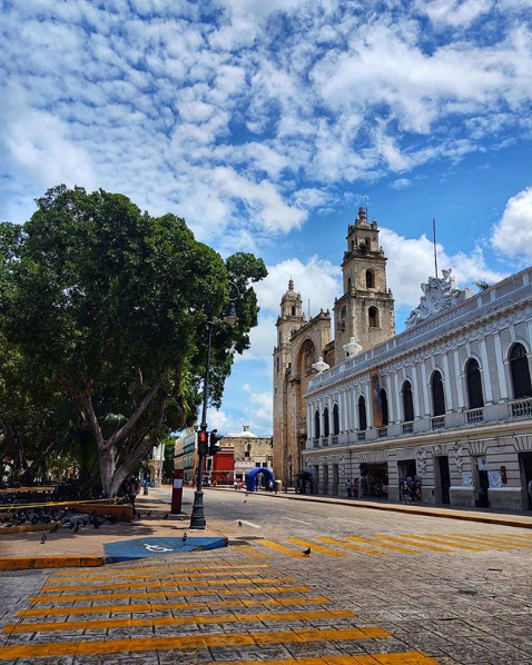 VisitMeridaMx's tweet photo. Caminar por el centro histórico de Mérida y observar sus calles, edificios y parques de forma segura, es una actividad que no te puedes perder en tu visita a la ciudad. #VisitMeridaMx #WeLoveMerida
IG: betop970 https://t.co/izJzuXhyR8