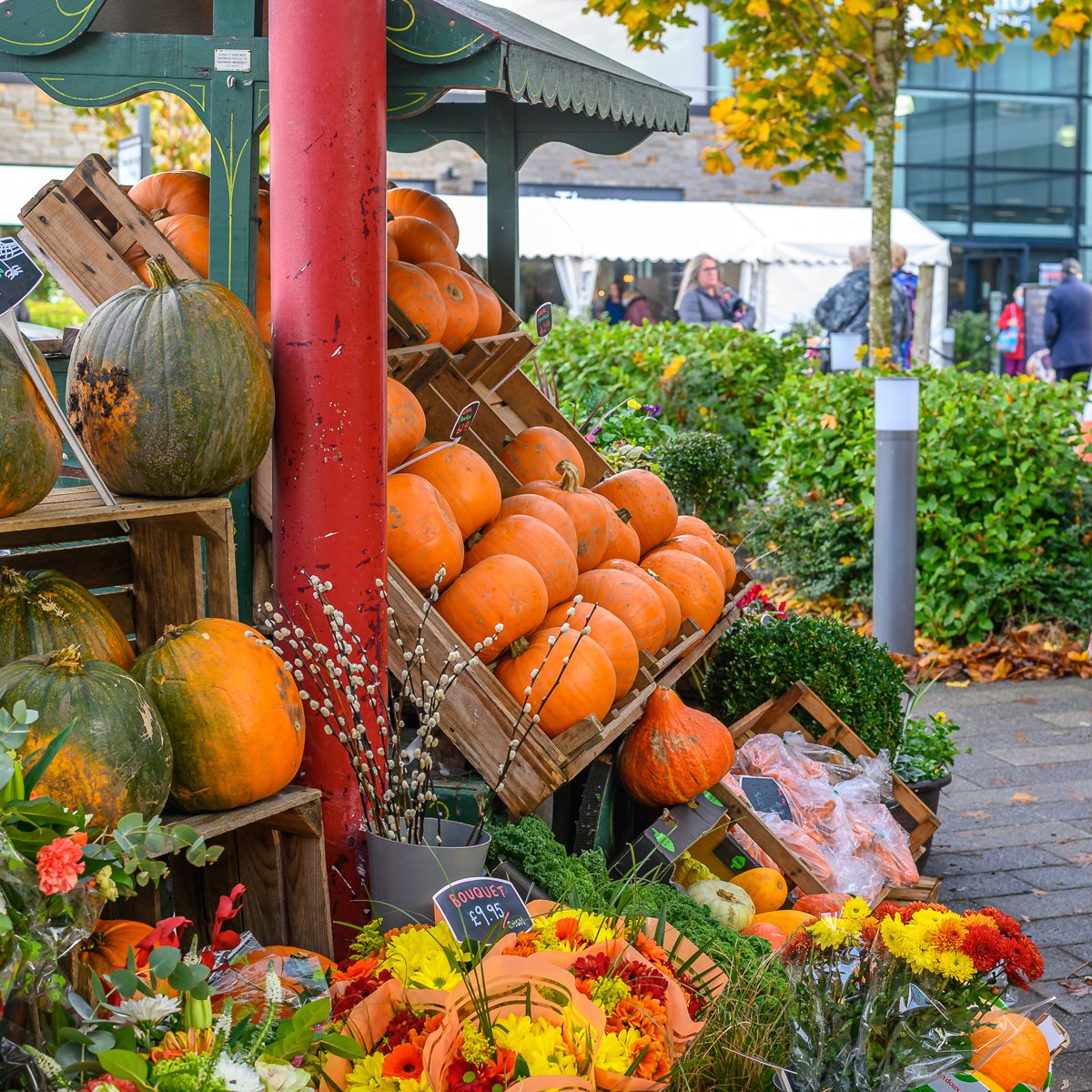 KevDrury's tweet photo. Autumn in Poulton - @wyrecouncil @DiscoverWyre @LWandF #streetphotography https://t.co/tNk1ETfveD