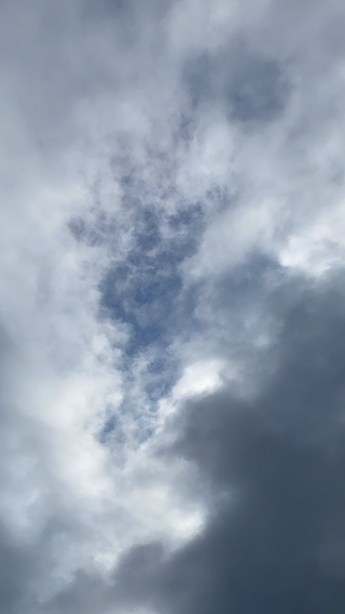 IndyKRF's tweet photo. Taking a moment to look up through the sunroof on this #FunFunFriday - The mix of sun and clouds represents this time of life for sure - Focusing on the bursts of sun that come from family, great clients, and yes the puppy who is even learning new things at school! #KRFPR https://t.co/HJ0Rub9Hk9