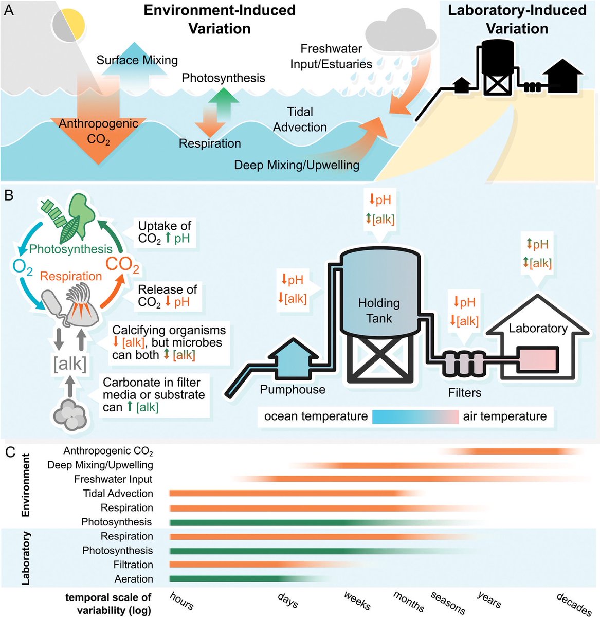 awegalloway's tweet photo. In this new Position Paper (@BiolBulletin), we submit that biologists likely have been, and are still, conducting ‘accidental’ ocean acidification / carbonate chemistry experiments in marine labs. https://t.co/c93LMgtAyp https://t.co/D70PIvpcuM
