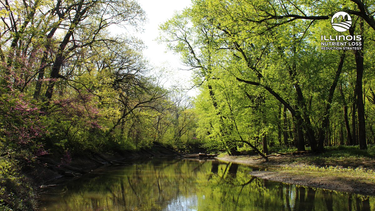 Illinois Nutrient Loss Reduction Strategy tweet media