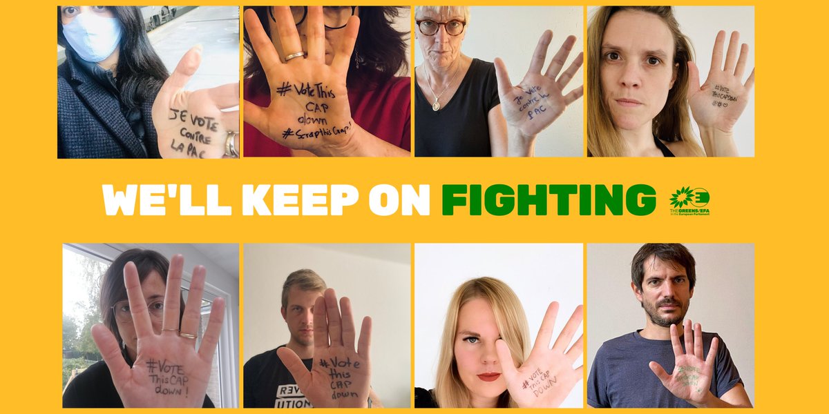 GreensEFA's tweet photo. Like you, our MEPs did their all to #VoteThisCAPDown, but unfortunately the majority voted against a modern EU agricultural policy.

We won't give up fighting for farmers, biodiversity &amp; climate! Now it's up to @EU_Commission - if we want #EUGreenDeal to work, they must fix this! https://t.co/8xqbOmGH4Z