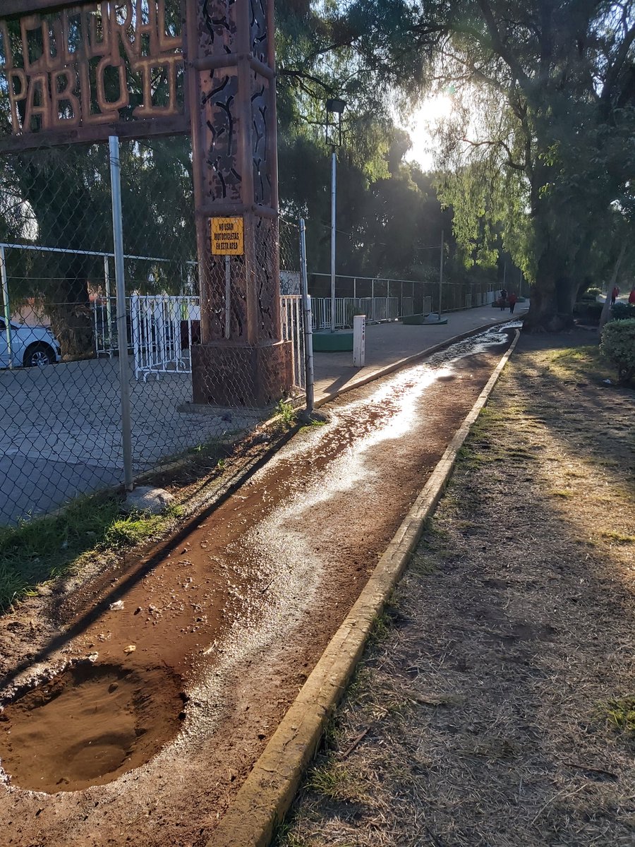 mariax017's tweet photo. @Operagua2019 Buenos días.
Quiero reportar una fuga de agua potable en el corredor del Lago de los Lirios, por la zona de las oficinas administrativas. Adjunto imagen para mayor referencia.
Mil gracias por su pronto apoyo.
#ReporteDeFuga #CuidaElAgua https://t.co/sapGnSyJ5o
