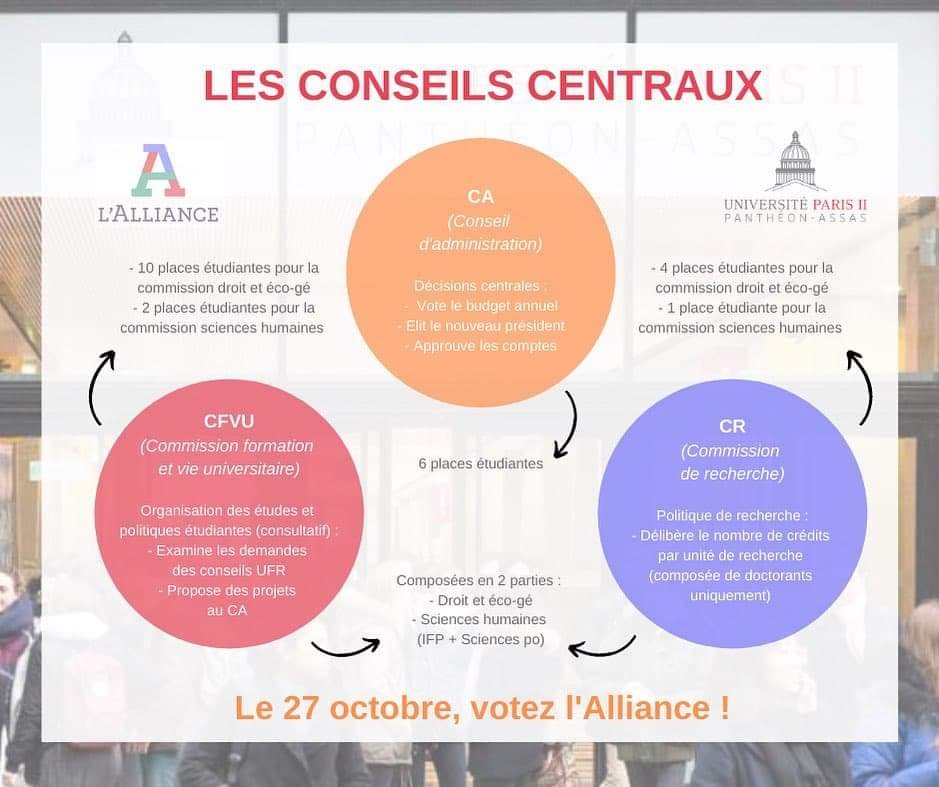 L'Alliance - Fédé d'Assas tweet media