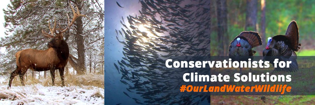 AmFisheriesSoc's tweet photo. The world aquatic science societies' #SaveOurFishClimateStatement is highlighted on the newly launched Conservationists for Climate Solutions website https://t.co/43k20JLQyj, from a coalition of many of the top conservation, science, and outdoor groups. #OurLandWaterWildlife https://t.co/bgbzRc9fts
