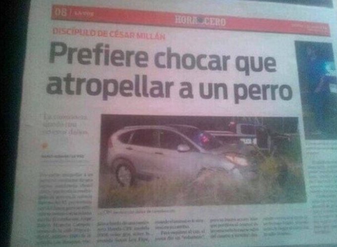 elcosodelapizza's tweet photo. Prioridades en la vida https://t.co/TJVmGUHrLW