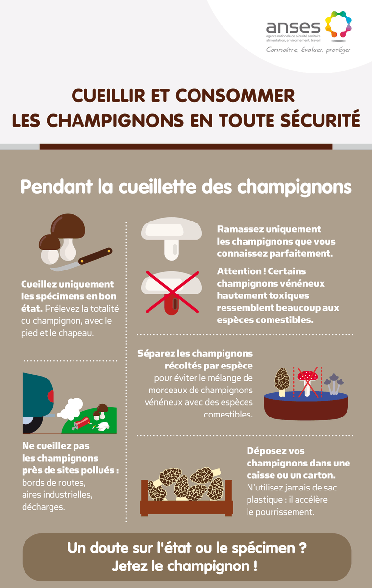 Anses_fr tweet picture