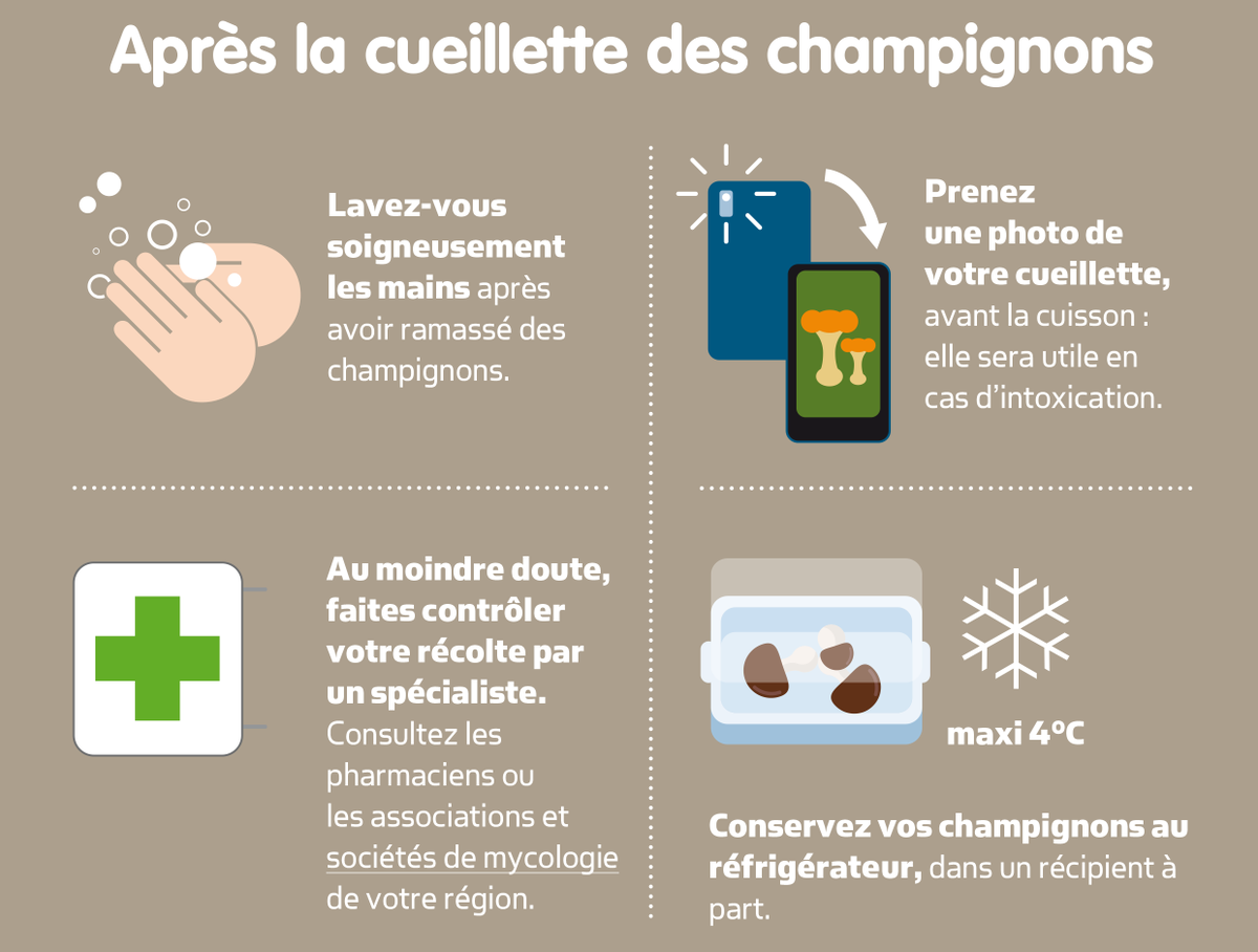 Anses_fr tweet picture