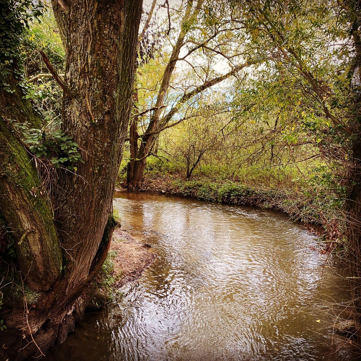 Folk_On's tweet photo. When you canβt βbring the Folkβ to anyone, the best thing to do is take it for a bloominβ lovely walk instead.
#letsgetreadytoramble #folk #villagelife https://t.co/oTLGUDRNFs