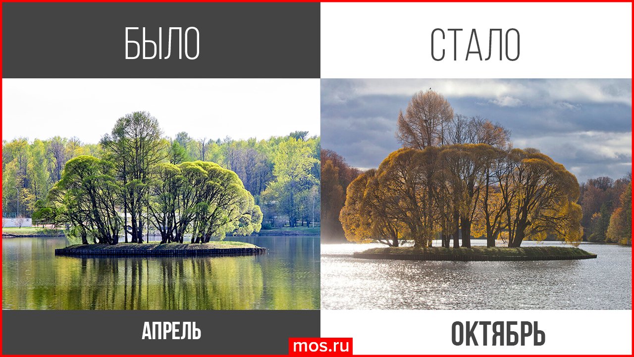 Москва على تويتر: "Зимой, летом, осенью...в парках Москвы всегда ...