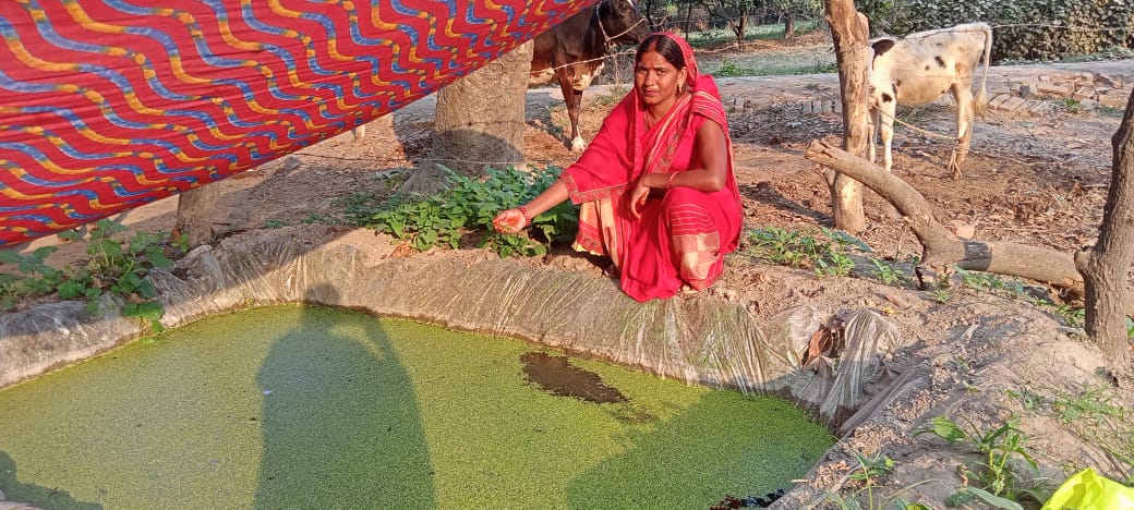 BmmuMall's tweet photo. आज माल ब्लाक की विभिन्न ग्राम पंचायतों में मिशन शक्ति कार्यक्रम के अंतर्गत आजीविका संवर्द्धन हेतु फार्म आजीविका साखियों द्वारा किसान पाठशालाओं का आयोजन किया गया जिसमें अजोला,नीमास्त्र,जीवमृत,यूरिया उपचारित भूसा तैयार करवाया गया @NrlmL @Prerna_UPSRLM https://t.co/xOVaqjYYnY