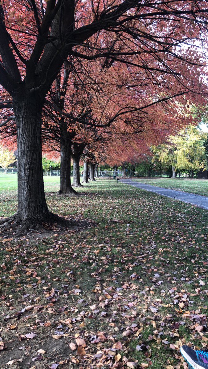 NotebookEmbers's tweet photo. Well, it’s snowing up here in the mountains, so goodbye to the nice Autumn weather. I miss this park. https://t.co/d3ybXKfbq1