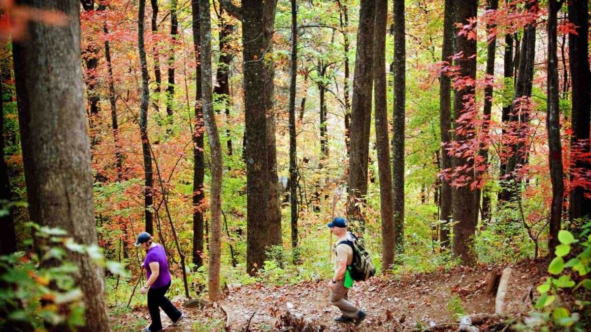 USARediscover's tweet photo. Destination experts at @UpcountrySC share the best places for tourists and locals to experience thrilling outdoor adventures in Upcountry, South Carolina. #UpcountrySouthCarolina #RediscoverAmerica https://t.co/zmc0r75VeJ https://t.co/pVsSUkedYR