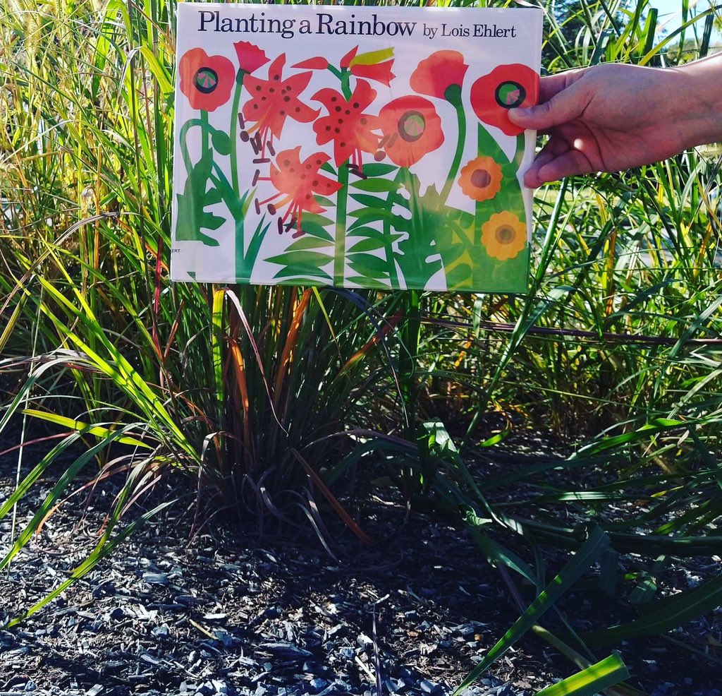 cjfredricksen's tweet photo. Happy #BookFaceFriday! Add a little color to your day! 🌸🌼#flowers #warmfallday #librarylife https://t.co/IlMbJySGT0