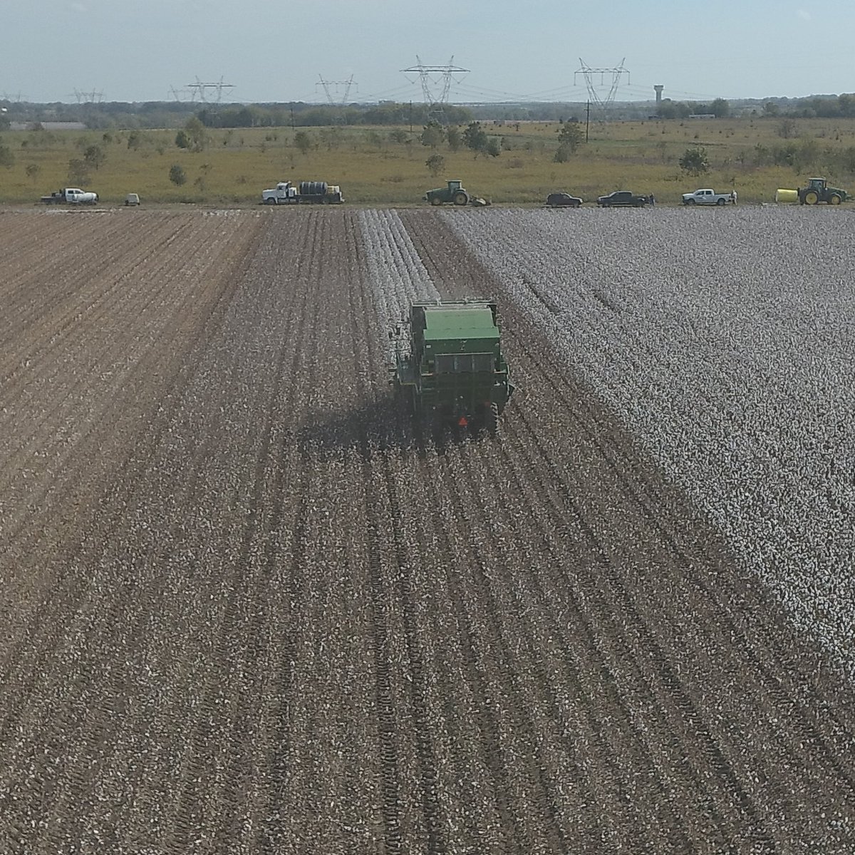 ClayCo_Ext's tweet photo. Cotton variety test plots being harvested this week. Fall production is in full swing! @MSUExtService @MSU_nmrec @chrlstokes https://t.co/kkM1bc3ibA