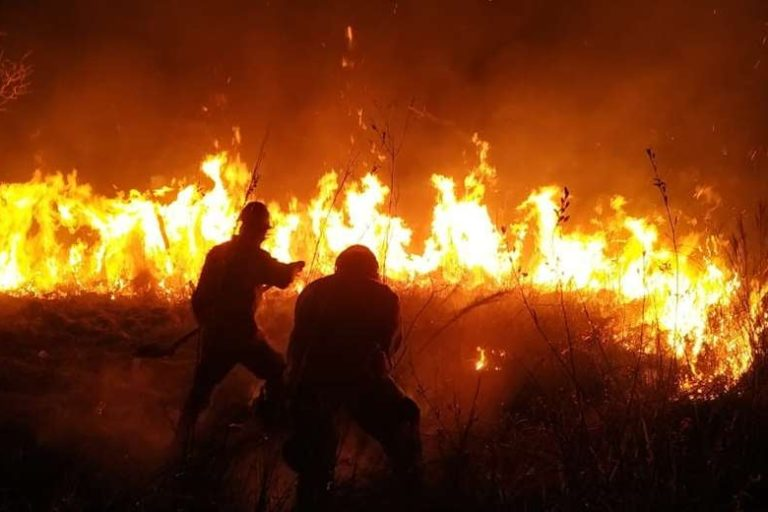 MongabayLatam's tweet photo. En medio de la crisis que vive #Bolivia debido a los incendios forestales que han arrasado unas 2.8 millones de hectáreas de bosques, Luis Arce, ex ministro de Economía de Evo Morales, ganó las elecciones presidenciales. ¿Qué panorama ambiental enfrenta?
➡️https://t.co/jLJjXTPsMI https://t.co/wvkngPnGxF