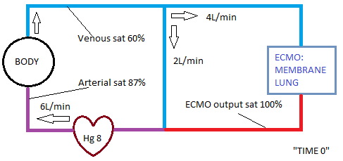 Ok, let’s define parameters for our pt at Time 0, when (say) the pt is satting 87% (on the way to 80).Hg = 8Venous O2 sat = 60% Cardiac output (CO) = 6L/minFlow thru ECMO = 4L/min... and the remaining 2L/min is thus *not* going thru ECMOWe've updated the image!