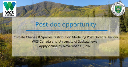 WCS_Canada's tweet photo. Want to influence land-use decisions and #conservation planning? We're seeking #postdoc (2.5 yrs) to work on climate change projection modeling on habitat distributions for SaR and biocultural diversity #SouthBeringiaPriorityPlaceInitiative. Please RT! https://t.co/x1H874fzVC https://t.co/Zvizum5hXz