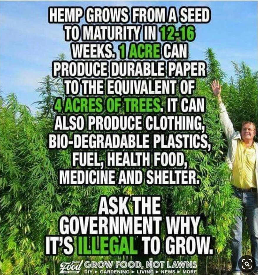 HappyBigGrin's tweet photo. Grow Hemp!🌱 https://t.co/UQ2dHeykmN