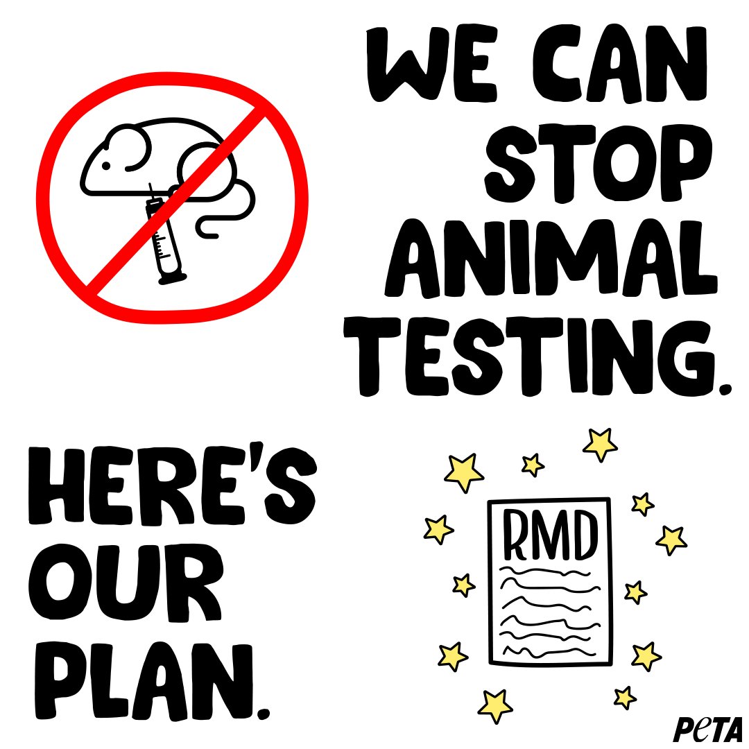 peta's tweet photo. The decades-long paradigm failure of biomedical research has left countless animals, including mice, monkeys, rats, &amp; rabbits mangled &amp; dead, &amp; humans without treatments.

Everyone deserves better. Congress must support PETA’s Research Modernization Deal. https://t.co/c33Jsd9gvG https://t.co/I0VTaKHweS