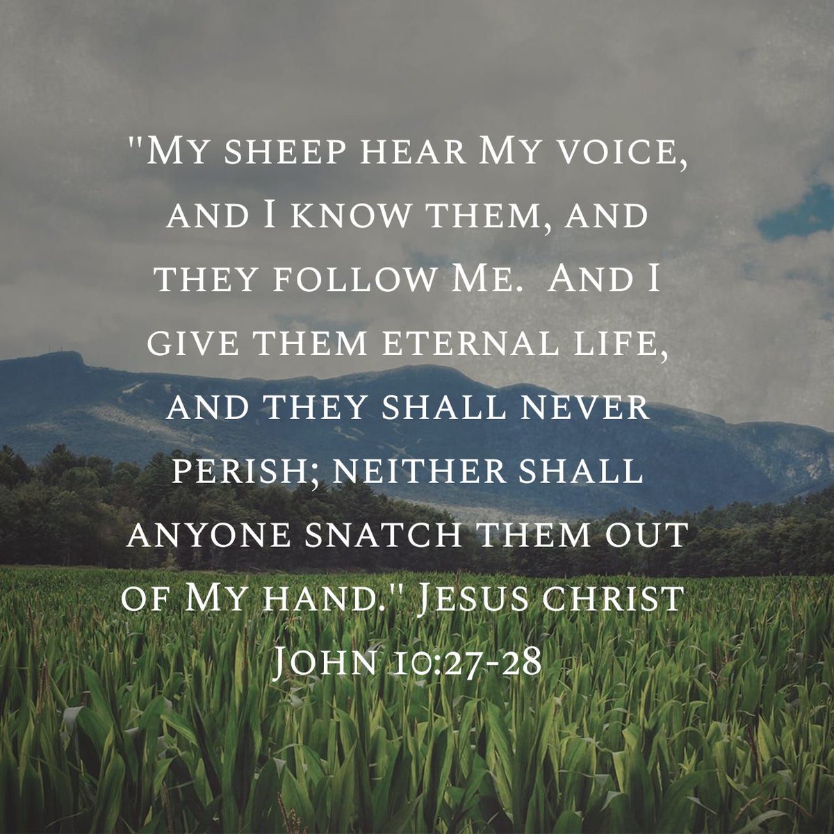 DanielHarman83's tweet photo. https://t.co/oCnMTcmM3J @YouVersion #WordsOfJesus #GodSpeak #DivineInvitation #Eternity #Follow https://t.co/zHSji2CRIN