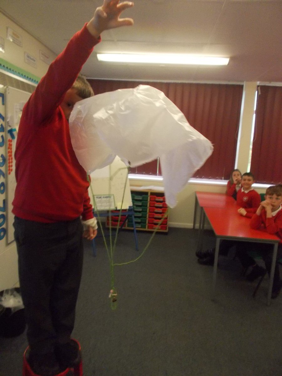Parkhead Primary tweet media