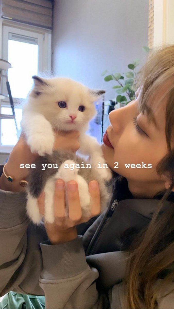 ♡♡♡♡♡♡♡♡♡♡♡♡♡♡♡♡