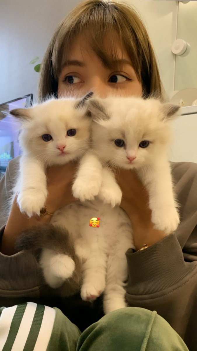 ♡♡♡♡♡♡♡♡♡♡♡♡♡♡♡♡