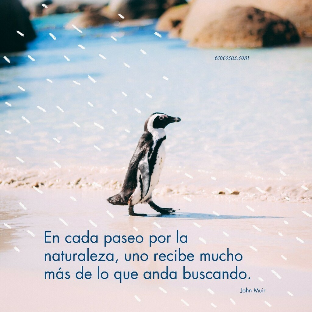 ecocosas's tweet photo. "En cada paseo por la naturaleza, uno recibe mucho más de lo que anda buscando".
(John Muir)
.
💚
.
#ecocosas #NaturalezaMaravillosa #NoHayPlanetaB https://t.co/4kUOdEfp0R https://t.co/jW7DZk0UnP
