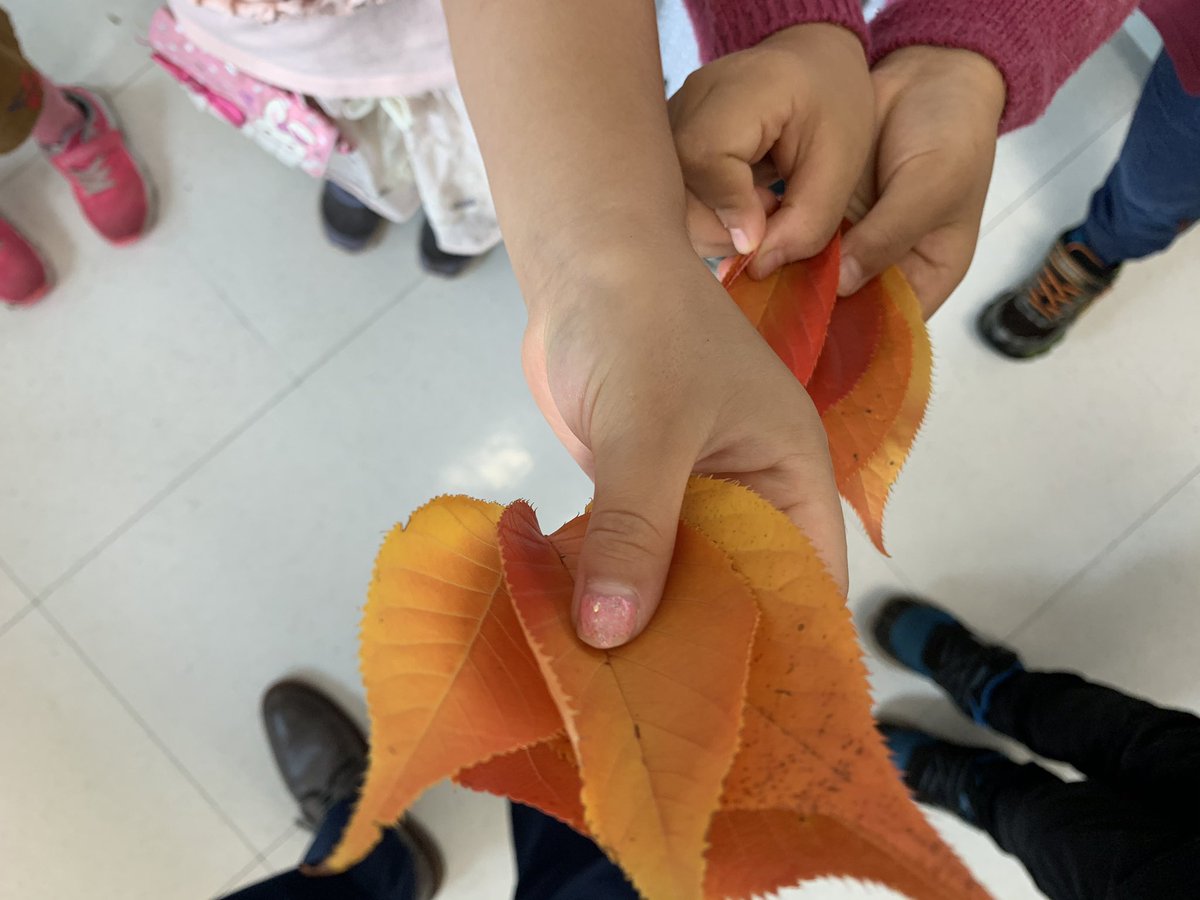 PARPrincipal's tweet photo. #parsonshcsd kindergarteners coming in from a Fall Hunt! Now we’re ready for leaf rubbings! https://t.co/eKAKN6jfdT