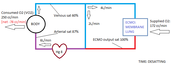 You see the problem?Our pt needs 250ccO2/min and ECMO is only supplying 172! Where will the pt get this extra O2 from?Our pt will keep extracting from poorly saturated available blood, driving the venous sat down even further. Our pt is using more O2 than we're giving