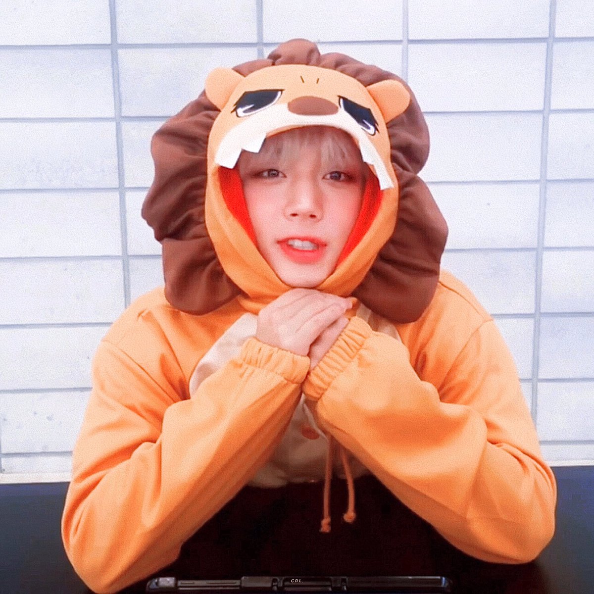 오월의 달빛 tweet media