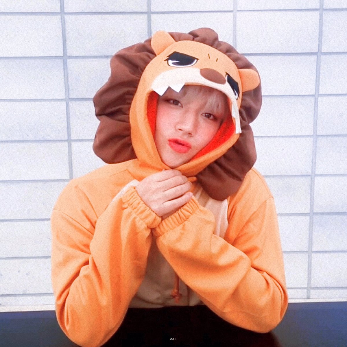 오월의 달빛 tweet media