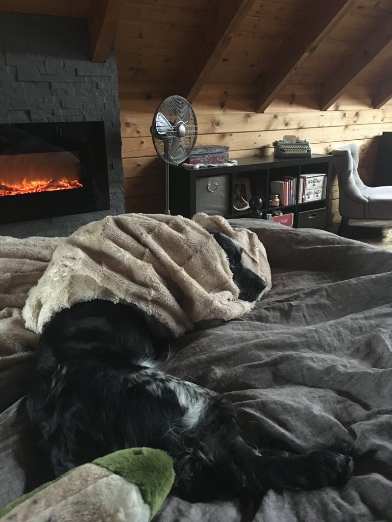 I was soon able to rejoin the King of the North warding off the chill (10 for his intent, but only 6.5 for his blanket execution) of an early winter 10/13