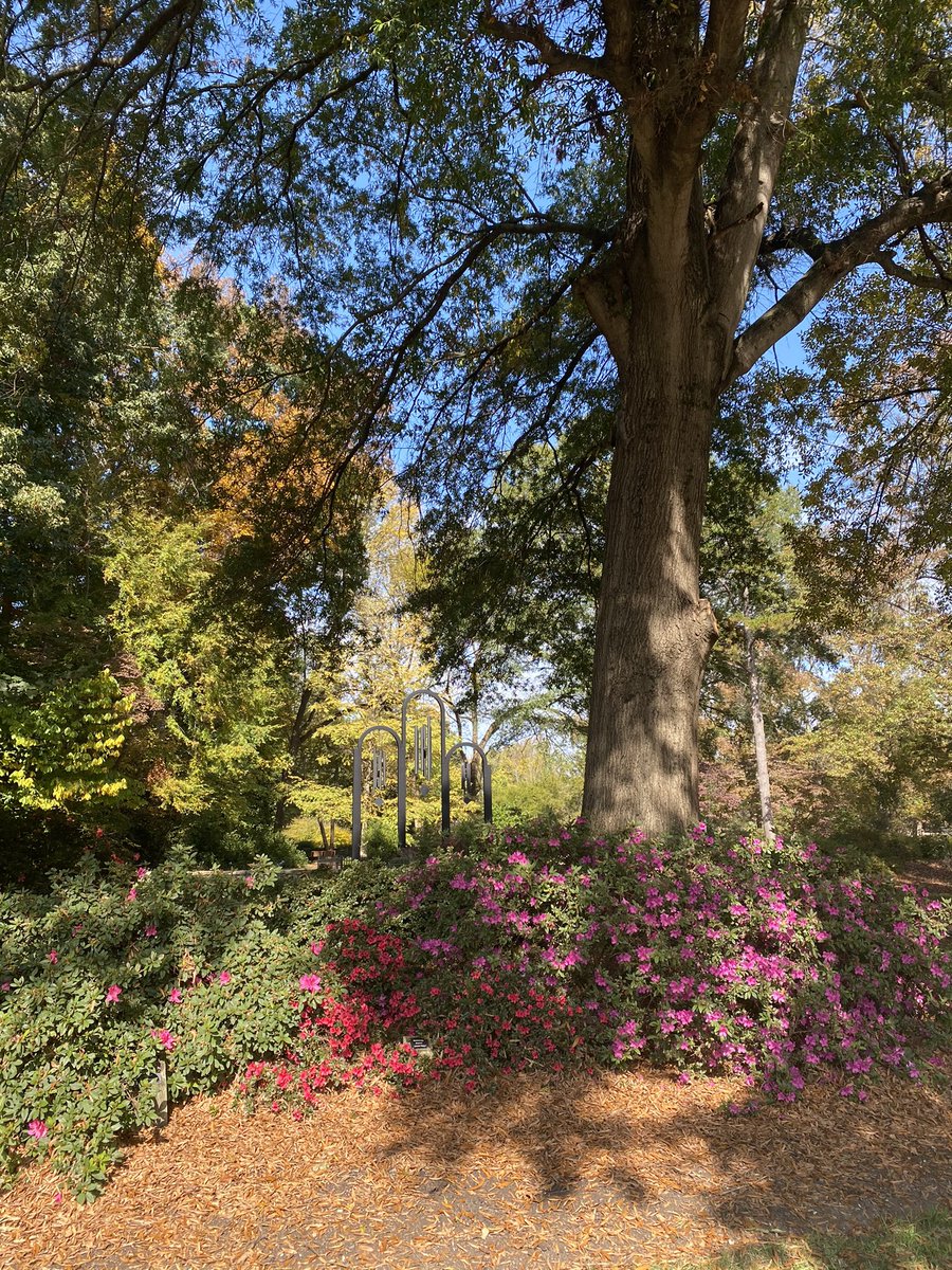 ChandElaine's tweet photo. Go outside today, NC. It’s a beautiful day!! https://t.co/zw4iGEFf7O